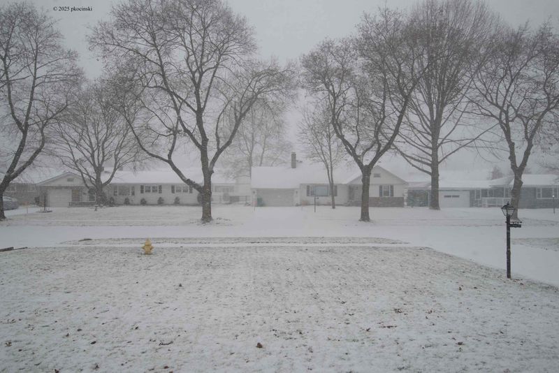 The Snow Has Started