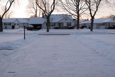 The Driveway Ice Skating Rink