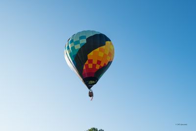 Above The Tree Tops