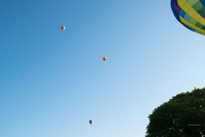 Balloons Way Up There