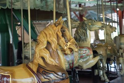 Riding The Carousel