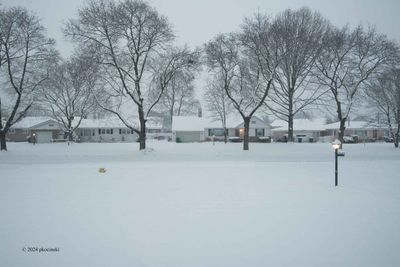 Winter Is Back...
