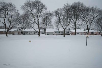 This Is Spring?