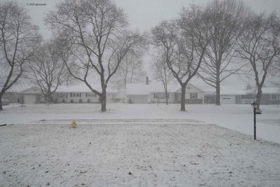 The Snow Has Started
