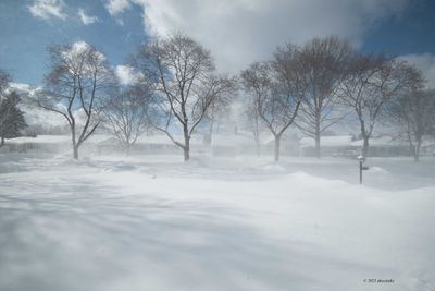 Whiteout