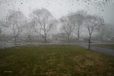 The Skies Let Loose...
