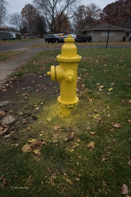 2025 Images - Year Nineteen