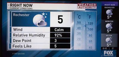 2025 Images - Year Nineteen