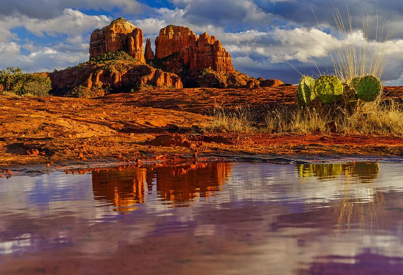 Cathedral reflection 5010.jpg