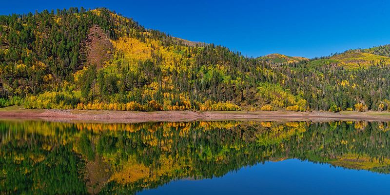 reflection of color 4500.jpg