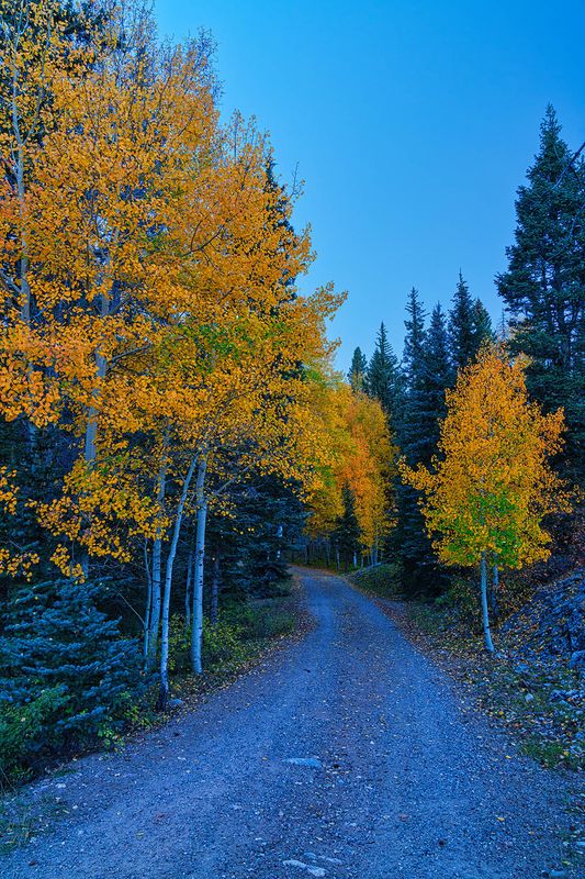 fall road 4556.jpg