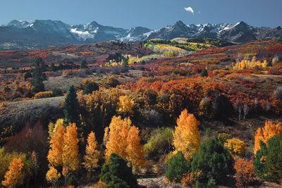 Dallas Divide 3928.jpg