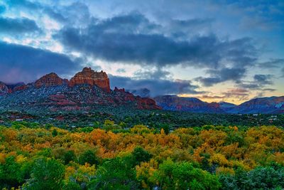 Sedona Fall color 4353.jpg