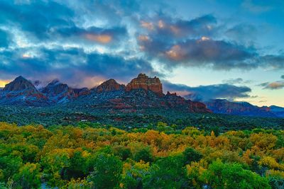 Sedona Fall color 4390.jpg