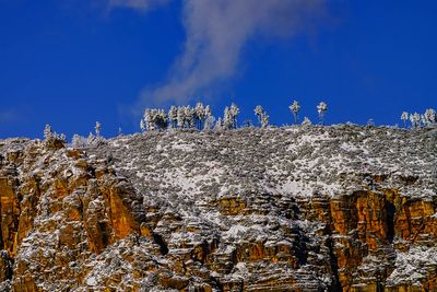 wilson mountain 4945.jpg