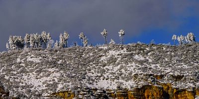 wilson mountain 4946.jpg