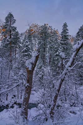 Oak Creek snow 5202.jpg