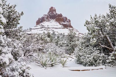 Bell Rock snow 5761.jpg