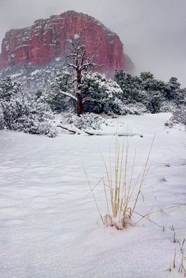 courthouse snow 5770.jpg