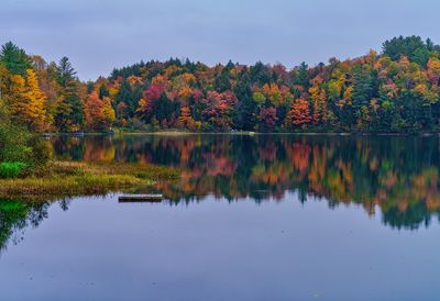Vermont Sabin Pond 2727.jpg