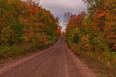 Fall road 1597.jpg
