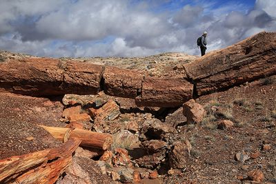Keystone Arch in Petrified Forest National Park.jpg