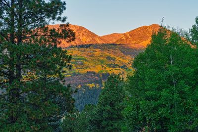 Colorado fall 4323.jpg