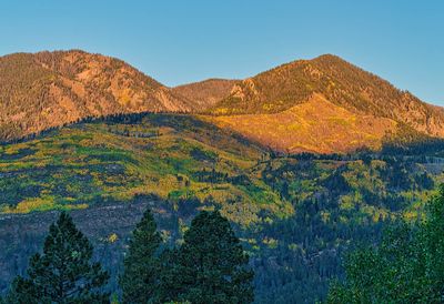 Colorado Fall 4342.jpg