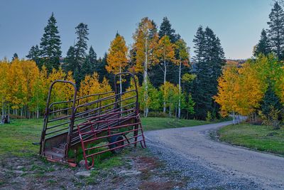Colorado Fall 4364.jpg