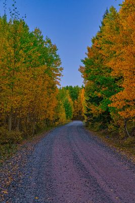 Colorado Fall 4385.jpg