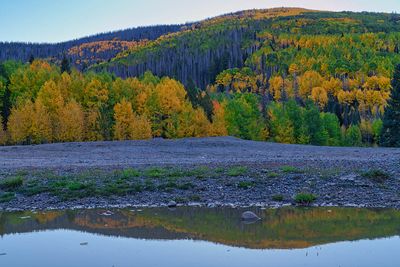 Colorado Fall 4396.jpg
