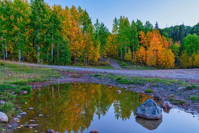 Colorado fall 4399.jpg