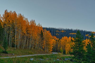Colorado Fall 4418.jpg