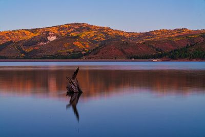 reflection 4650.jpg