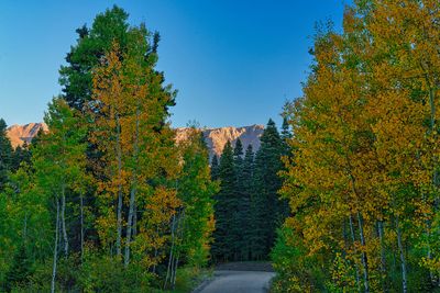 Colorado fall 4360.jpg