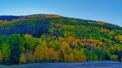 Colorado fall 4389.jpg
