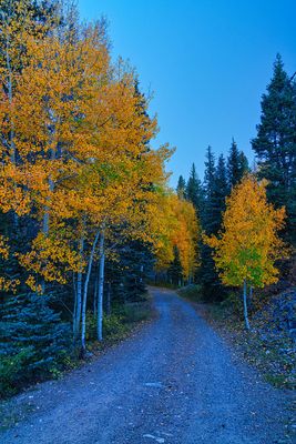 fall road 4556.jpg