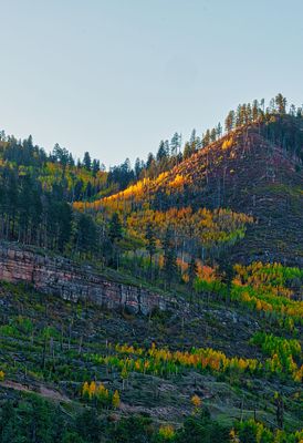 Hint of light 4790.jpg