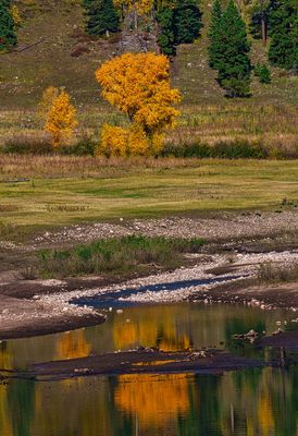 colorado_fall_color