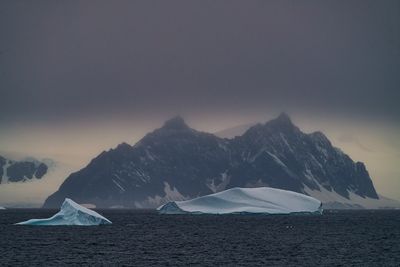 antarctica 7019.jpg