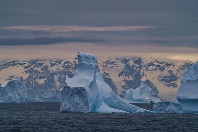 antarctica 7306.jpg