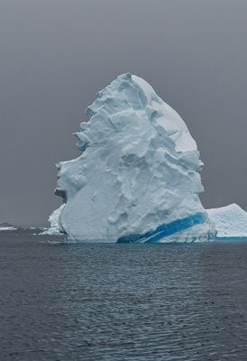 ice berg 7130.jpg
