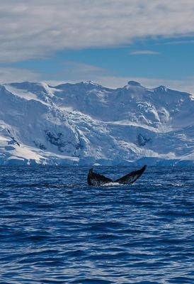 14__days_in_antarctica