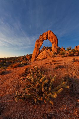 Arizona Delicate Arch 7778.jpg