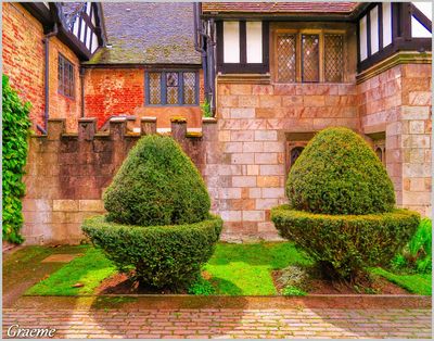 Topiary Bushes & Leaded Windows