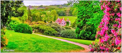 The Old Castle Ruin