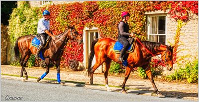 Friendly Horse Trainers