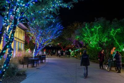 Phoenix Zoo lights...