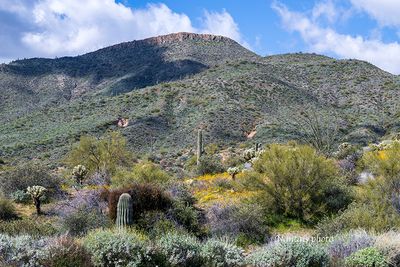 A beautiful mountain in the Tonto National Forest