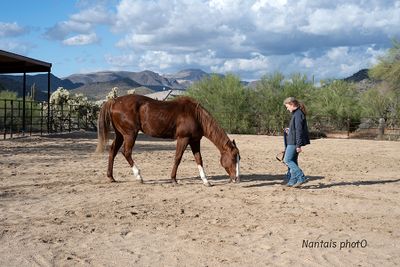 A woman and her beautiful quarter horse in Arizona